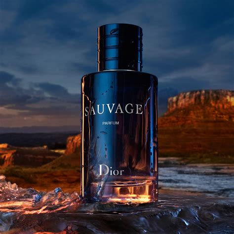 dior sauvage auto spray|dior sauvage 100ml cheapest.